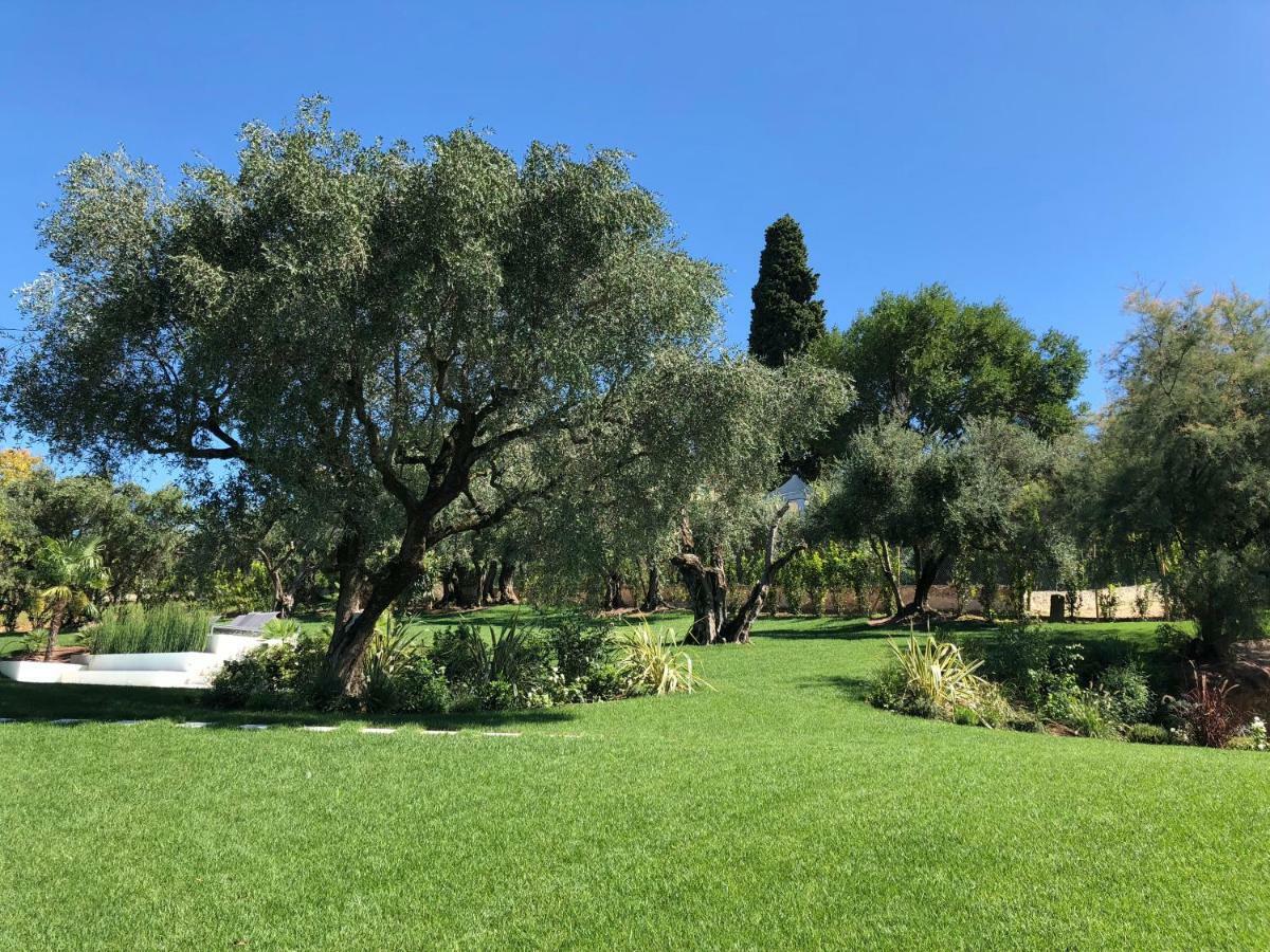 Villa Il Bacio Del Sole Verona Eksteriør bilde