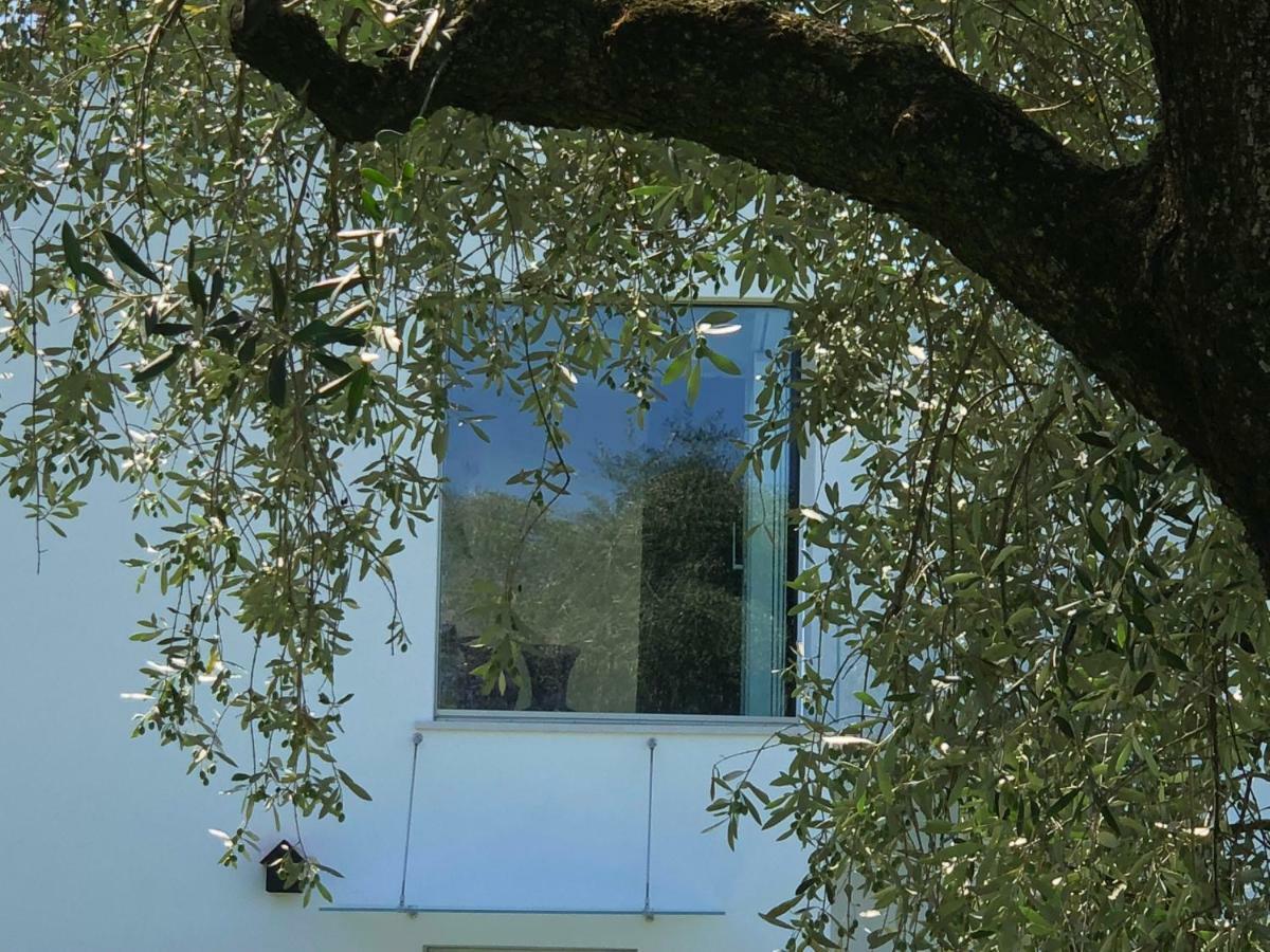 Villa Il Bacio Del Sole Verona Eksteriør bilde